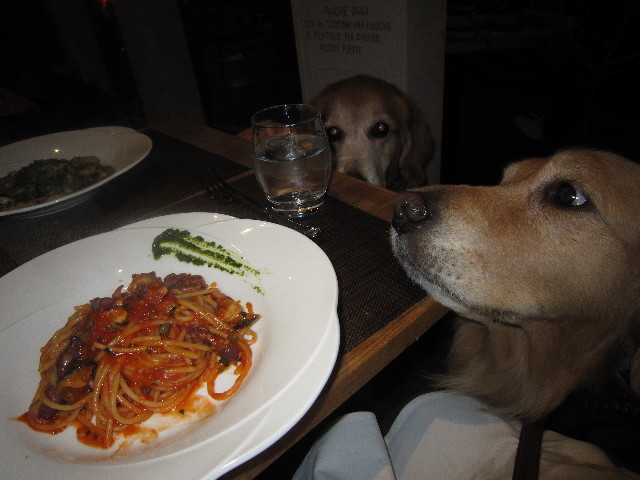 ファイル 1679-4.jpg