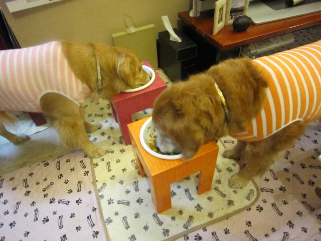 ファイル 1679-5.jpg