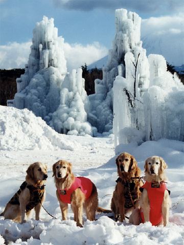 ファイル 168-2.jpg