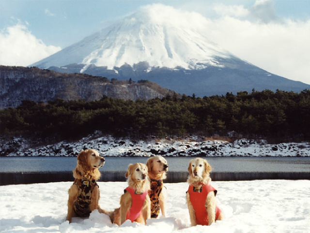 ファイル 168-3.jpg