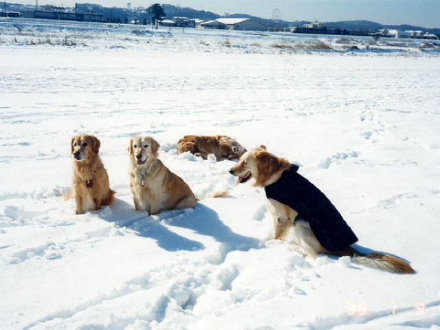 ファイル 168-5.jpg