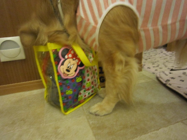 ファイル 1681-2.jpg