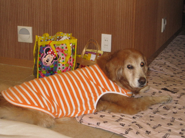 ファイル 1681-3.jpg