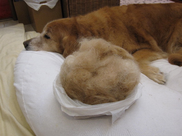 ファイル 1682-2.jpg