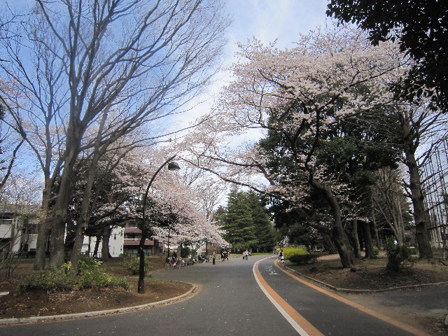 ファイル 1682-4.jpg