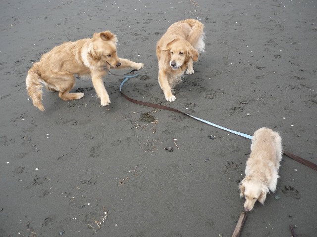 ファイル 1683-2.jpg