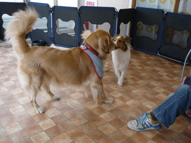 ファイル 1683-3.jpg