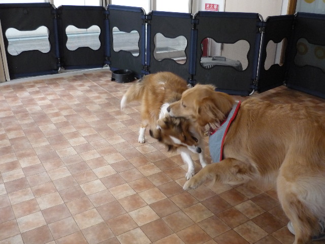 ファイル 1683-5.jpg