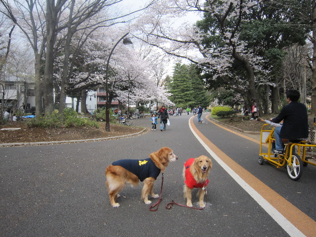 ファイル 1686-1.jpg