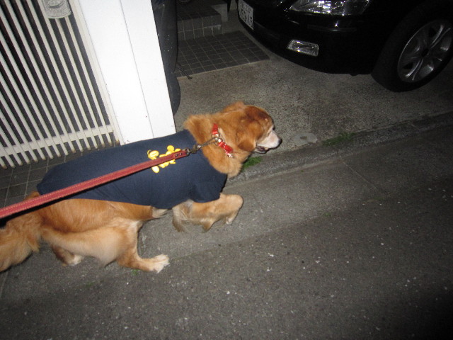 ファイル 1688-3.jpg