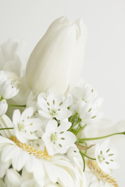 ファイル 1690-1.jpg