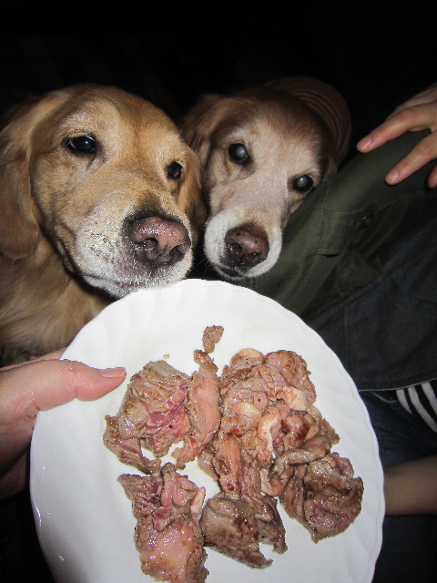 ファイル 1691-5.jpg