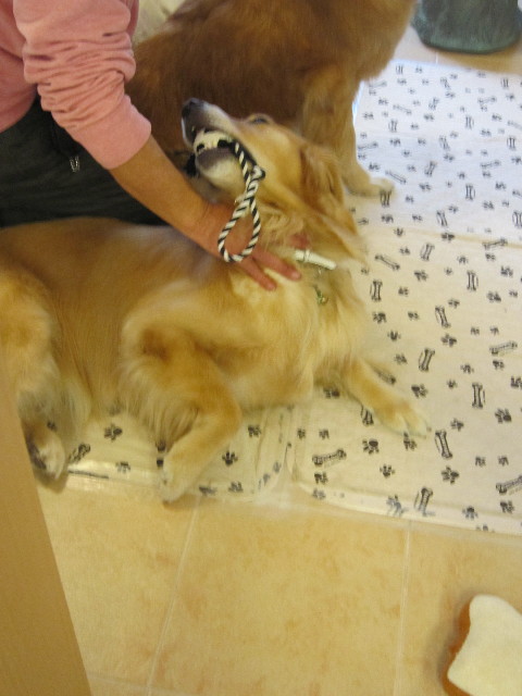 ファイル 1692-2.jpg