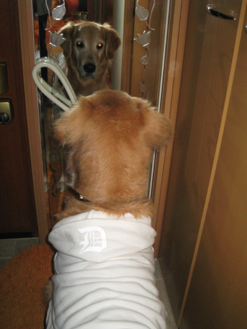 ファイル 170-4.jpg