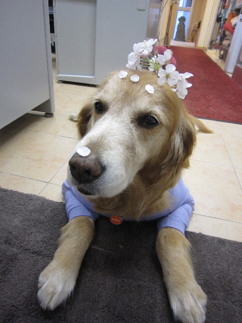 ファイル 1700-4.jpg