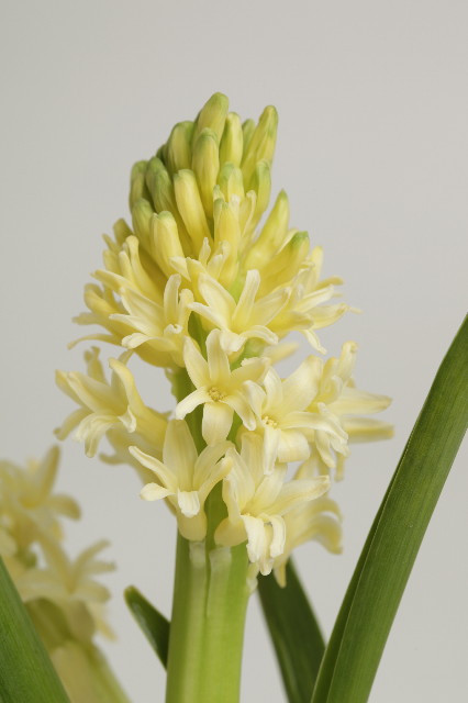 ファイル 1703-4.jpg