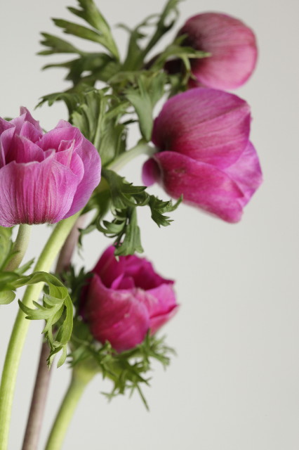 ファイル 1703-5.jpg