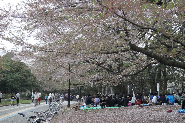 ファイル 1705-3.jpg