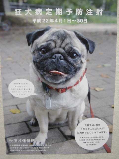 ファイル 1709-1.jpg