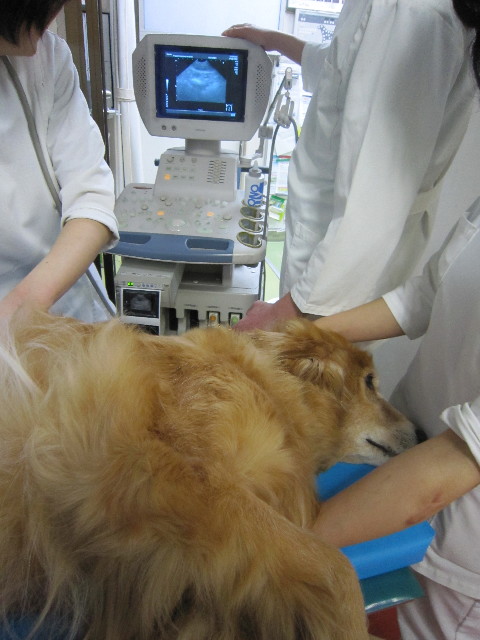 ファイル 1709-3.jpg