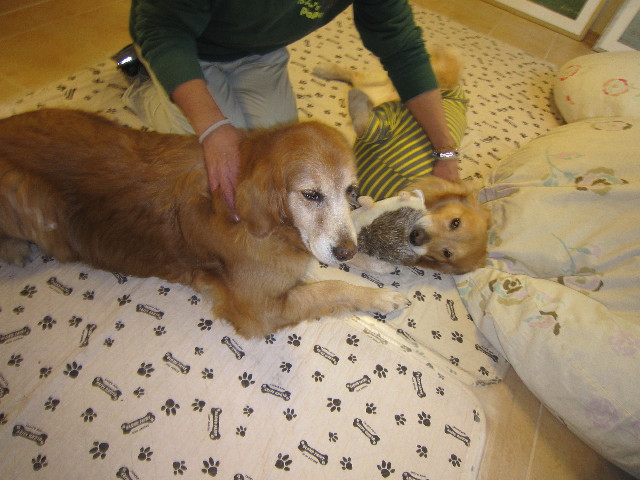 ファイル 1710-2.jpg