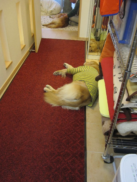 ファイル 1710-3.jpg