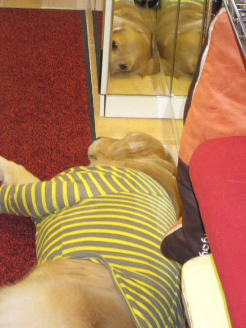 ファイル 1710-4.jpg