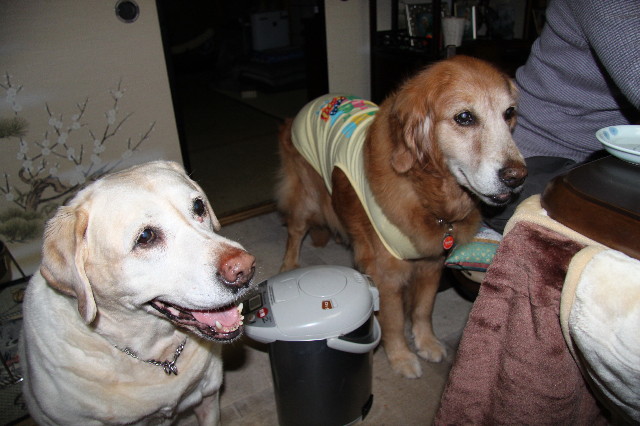 ファイル 1711-1.jpg