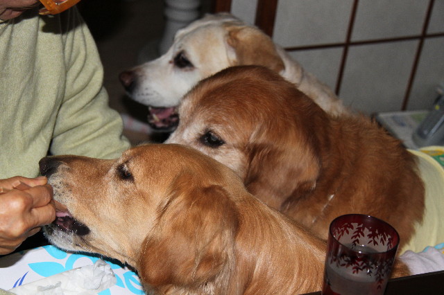 ファイル 1711-2.jpg