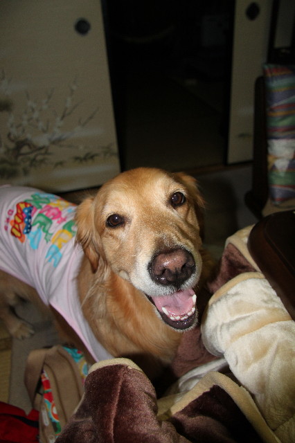 ファイル 1711-4.jpg