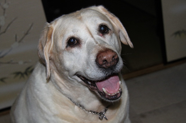 ファイル 1711-5.jpg