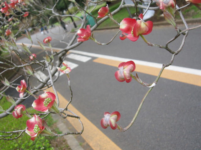 ファイル 1712-1.jpg