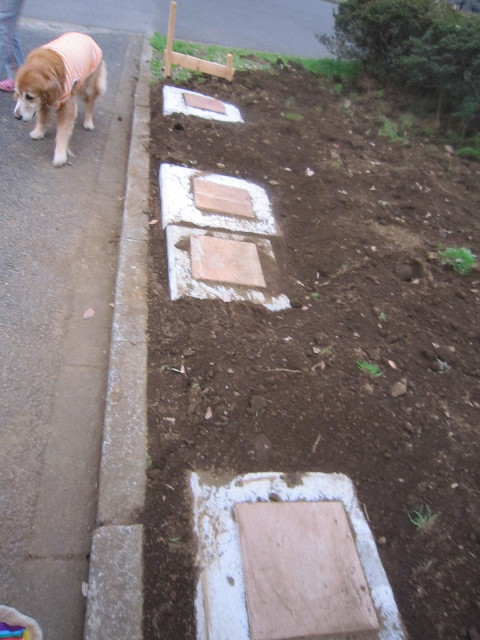 ファイル 1713-1.jpg