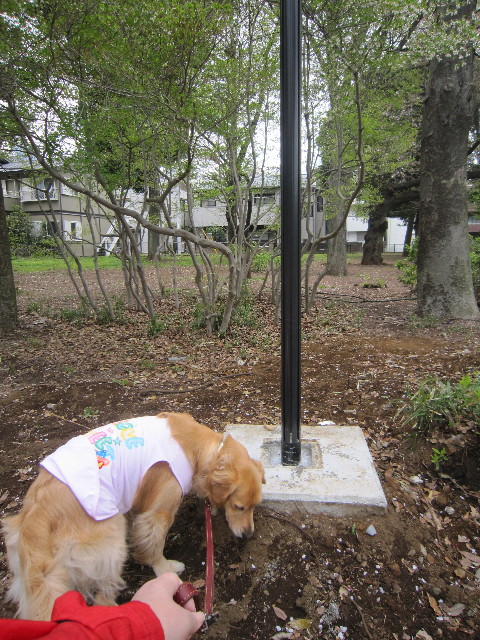 ファイル 1713-3.jpg