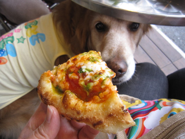 ファイル 1714-4.jpg