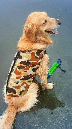 ファイル 1715-1.jpg