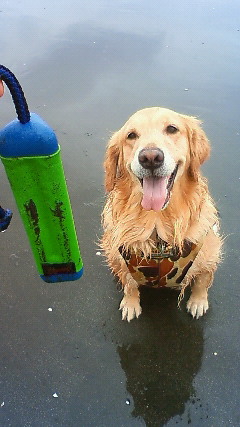 ファイル 1715-4.jpg