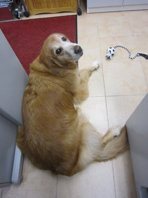 ファイル 1717-2.jpg