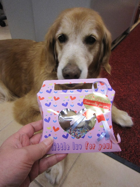 ファイル 1717-5.jpg