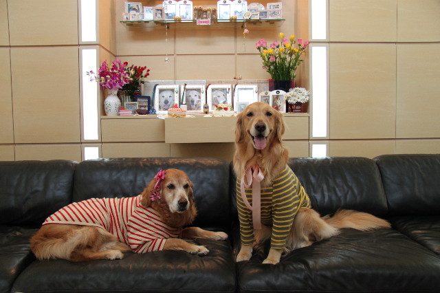 ファイル 1718-1.jpg