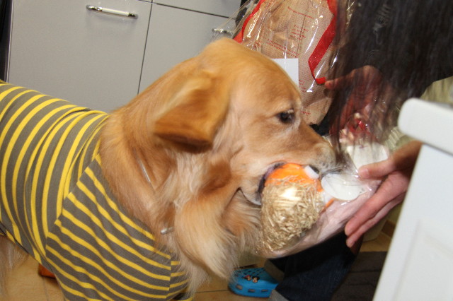 ファイル 1718-2.jpg