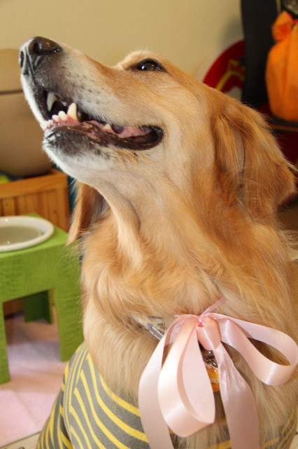 ファイル 1718-4.jpg