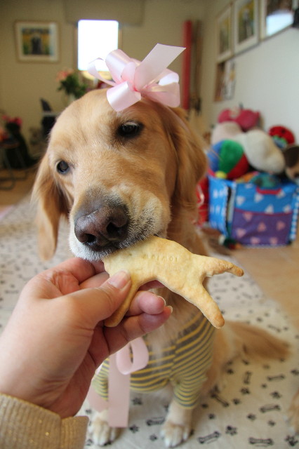 ファイル 1719-4.jpg