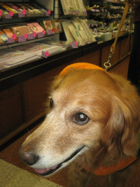 ファイル 172-5.jpg