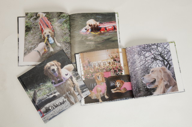 ファイル 1720-3.jpg