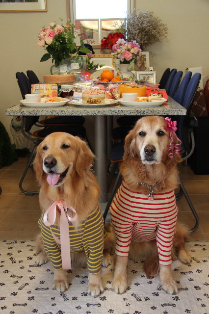 ファイル 1720-4.jpg