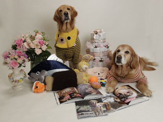 ファイル 1720-5.jpg