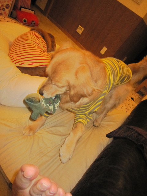 ファイル 1721-3.jpg