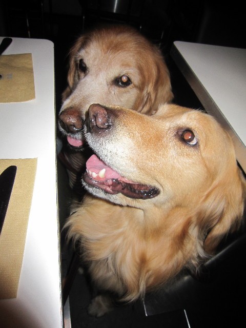 ファイル 1723-2.jpg