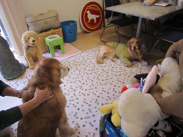 ファイル 1723-4.jpg